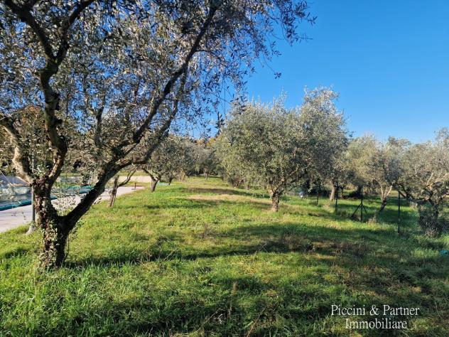 Agriturismo in vendita a Castel Ritaldi - Foto 9