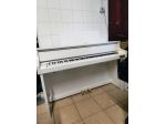 Pianoforte Casio CELVIANO GP 310 bianco ibrido con trasporto e panca
