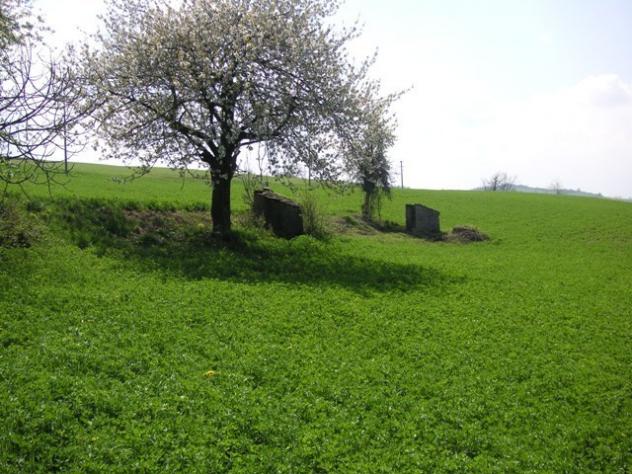 Rustico in vendita a Murazzano - Foto 9