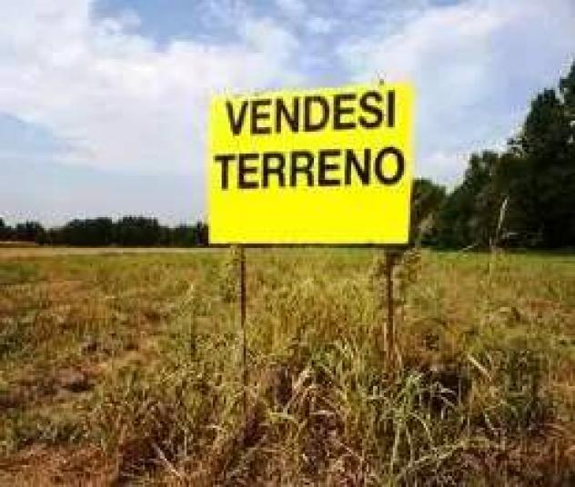 Terreno edificabile in Vendita in zona GHEZZANO con giardino