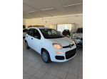 FIAT - Panda - 1.0 FireFly S&S Hybrid Pandina
