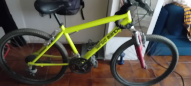 Vendo bici