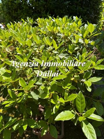 Scarperia - Monofamiliare con giardino e posti auto - Foto 6