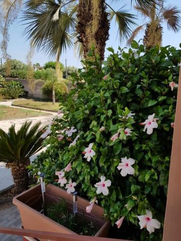 Appartamento in vendita a Siracusa - Foto 5
