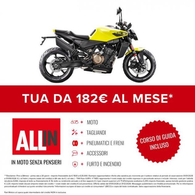 HUSQVARNA Vitpilen 801 (mod.corretto) - Foto 2