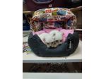 Cuccioli di maltese mini