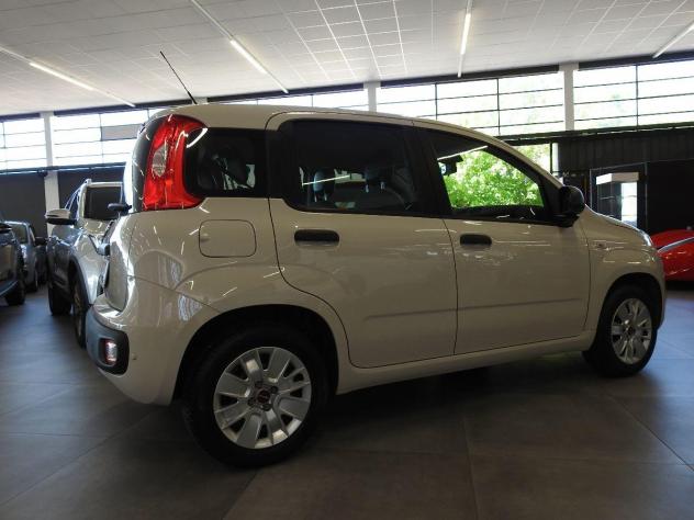 FIAT - Panda - 1.2 Lounge KM 52000 Climat-esp-Pdc Post. - Foto 5