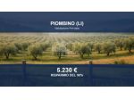 Immobile in asta di 80 m² in vendita a Piombino