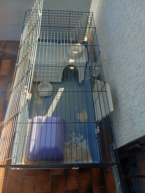 Vendo gabbia per cavia peruviana - Foto 2