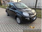 FIAT Panda 1.0 FireFly S&S Hybrid,Bluetooth rif. 23983697