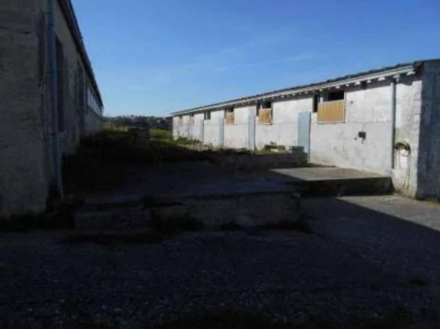 Immobile in asta di 1103 m² in vendita a Thiesi - Foto 2