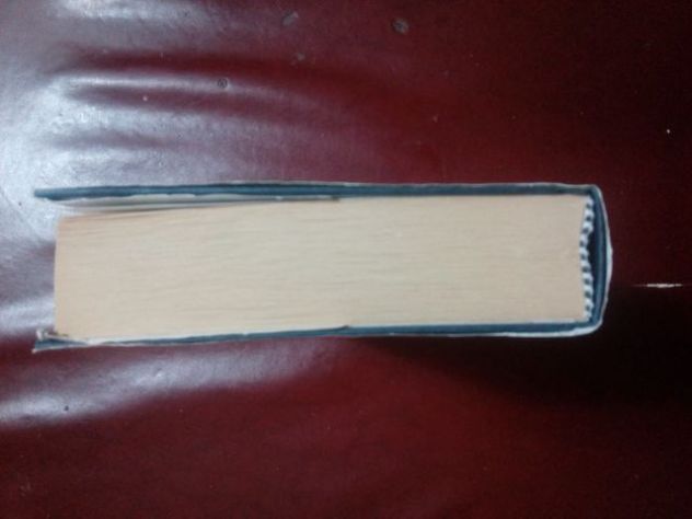 Libro: Nel fuoco - Nicholas Evans - Foto 4