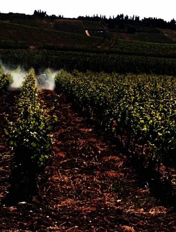 Terreno in vendita a Castelvetrano - Foto 7