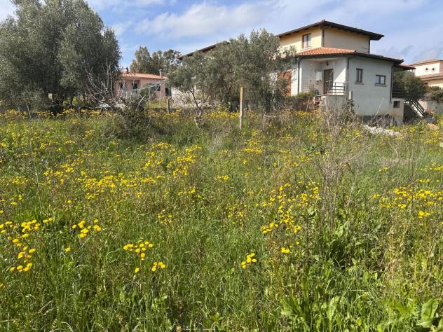 Terreno edif. residenziale in vendita a Chessa - Luogosanto 642 mq Rif: 1399167
