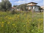 Terreno edif. residenziale in vendita a Chessa - Luogosanto 642 mq  Rif: 1399167