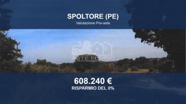Immobile in asta di 24382 m² in vendita a Spoltore