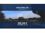 Immobile in asta di 24382 m² in vendita a Spoltore