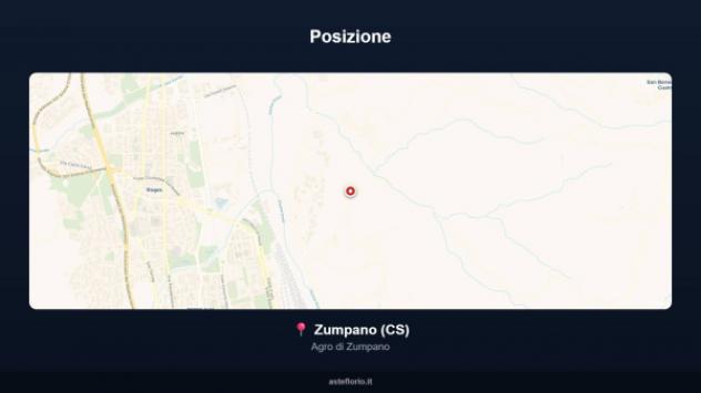 Immobile in asta di 8 m² in vendita a Zumpano - Foto 3