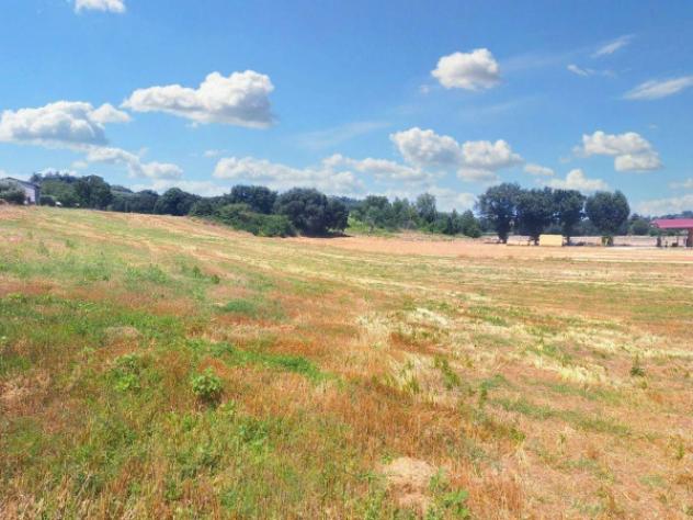 Immobile in asta di 221655 m² in vendita a Monte Castello di Vibio - Foto 7