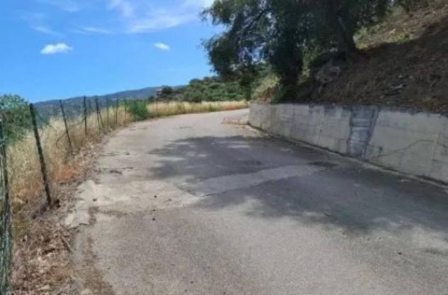 Immobile in asta di 5431 m² in vendita a Piraino - Foto 10