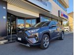 Toyota RAV4 2.5 HV (218CV) E-CVT Dynamic 2WD - GANCIO