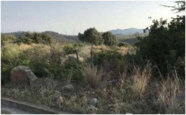 Immobile in asta di 32550 m² in vendita a Ferruzzano - Foto 2