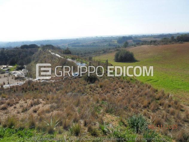 Terreno di 46370 mq in vendita a Montescaglioso - Rif. 4555042 - Foto 16