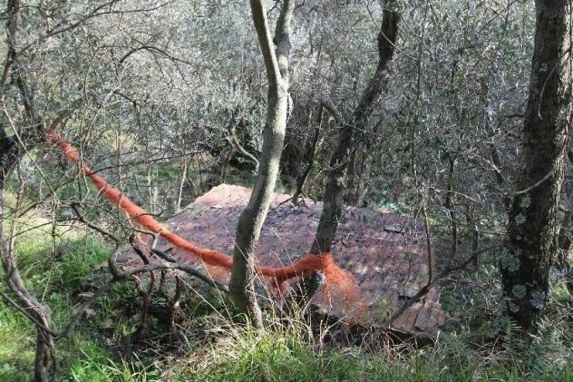 Rustico in vendita a Vernazza 25 mq Rif: 1036225 - Foto 9