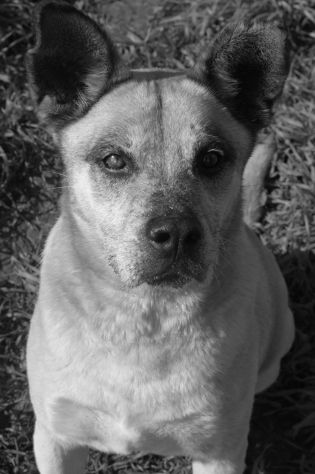 Thor un passato triste da dimenticare - Foto 4