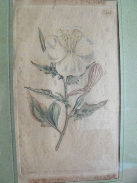 DISEGNI FLOREALI - Foto 3
