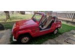 RENAULT R4 FROG