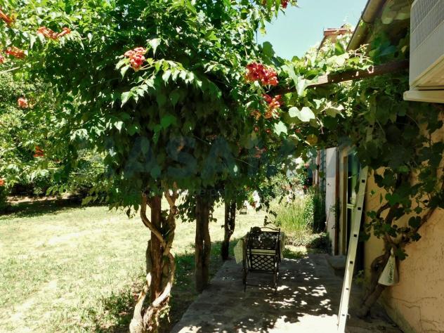 Villa in vendita a Chiusdino - Foto 7