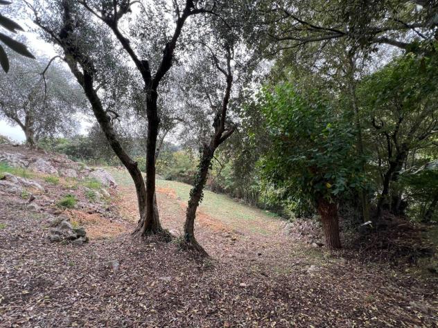 Terreno edificabile in vendita a Barbarano Mossano - Foto 5