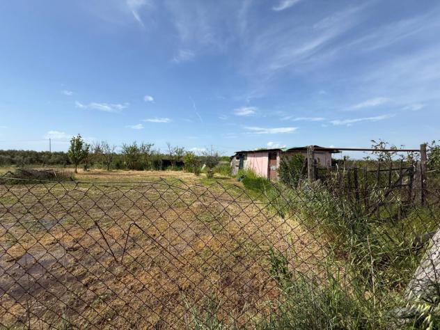 TERRENO AGRICOLO di 2134 mq (GROSSETO - Grosseto) rif. TE.43 - Foto 4