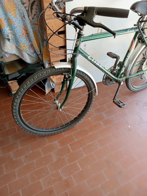 Bicicletta - Foto 4