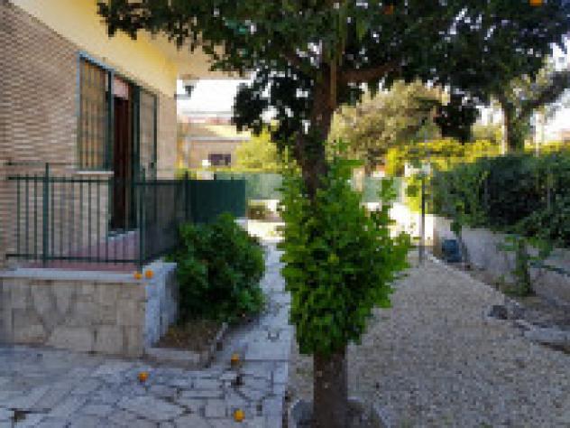 Appartamento in Viale Ninfa Alburnea
