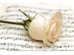 Musica per funerali, messe di comiato, cerimonie laiche Modena