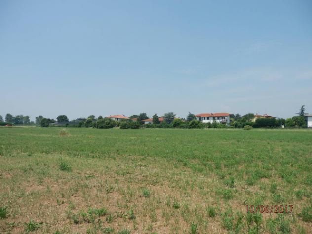 Terreno di 7500 m² in vendita a Zanica - Foto 5