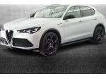 ALFA ROMEO Stelvio 2.2 Turbodiesel 210 CV AT8 Q4 Competizione rif. 23758775