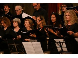 Lezioni di  musica teoria solfeggio e armonia.