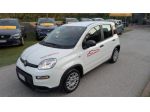 FIAT Panda 1.0 FireFly S&S Hybrid rif. 23698759