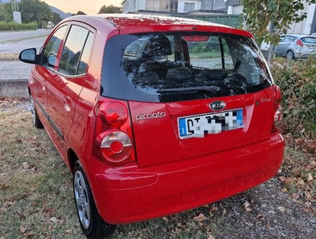 KIA Picanto 1.0 12V Bi-Fuel GPL Ok Neopatentati rif. 24068922 - Foto 2