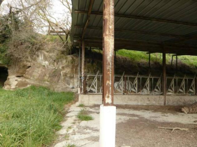 Immobile in asta di 58454 m² in vendita a Montefiascone - Foto 13