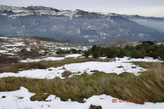 Immobile in asta di 319 m² con più di 5 locali e box auto in vendita a Potenza - Foto 5