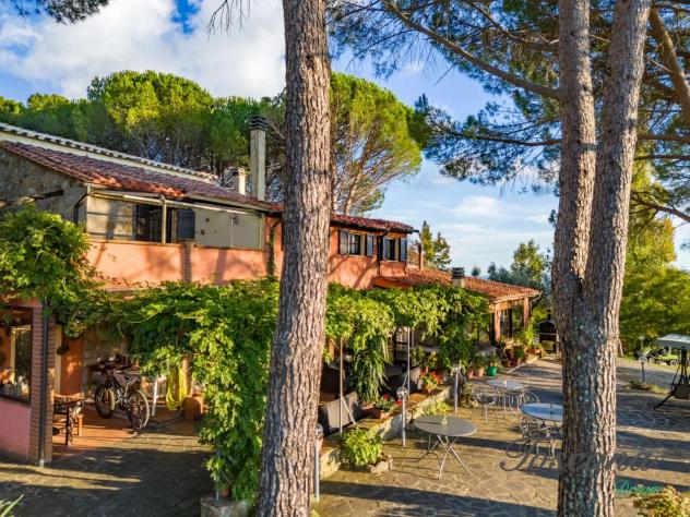 Casale in vendita a Roccatederighi - Roccastrada 390 mq Rif: 1424454 - Foto 4