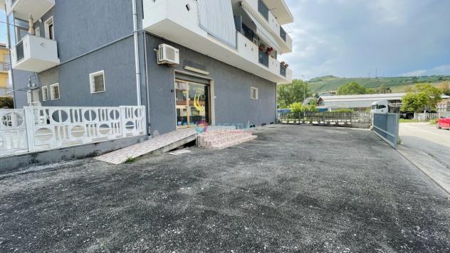 1 Vetrina in vendita a Pineto - Foto 3