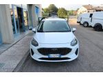 Ford Fiesta 1.0 Ecoboost Hybrid 125 CV 5 porte Titanium