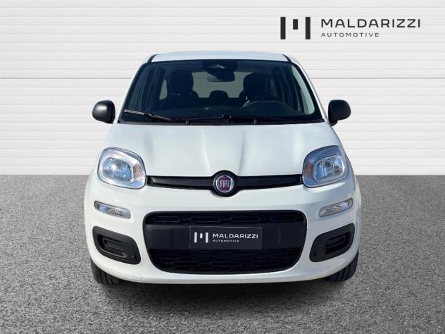 FIAT Pandina HYBRID My26 1.0 65cv Hybrid Icon - Foto 2