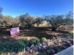 Terreno Residenziale - San Severo . Rif.: Cod. rif 3276742VRG