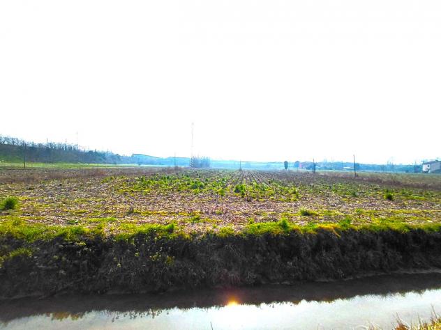 Agricolo in vendita a Boara Pisani